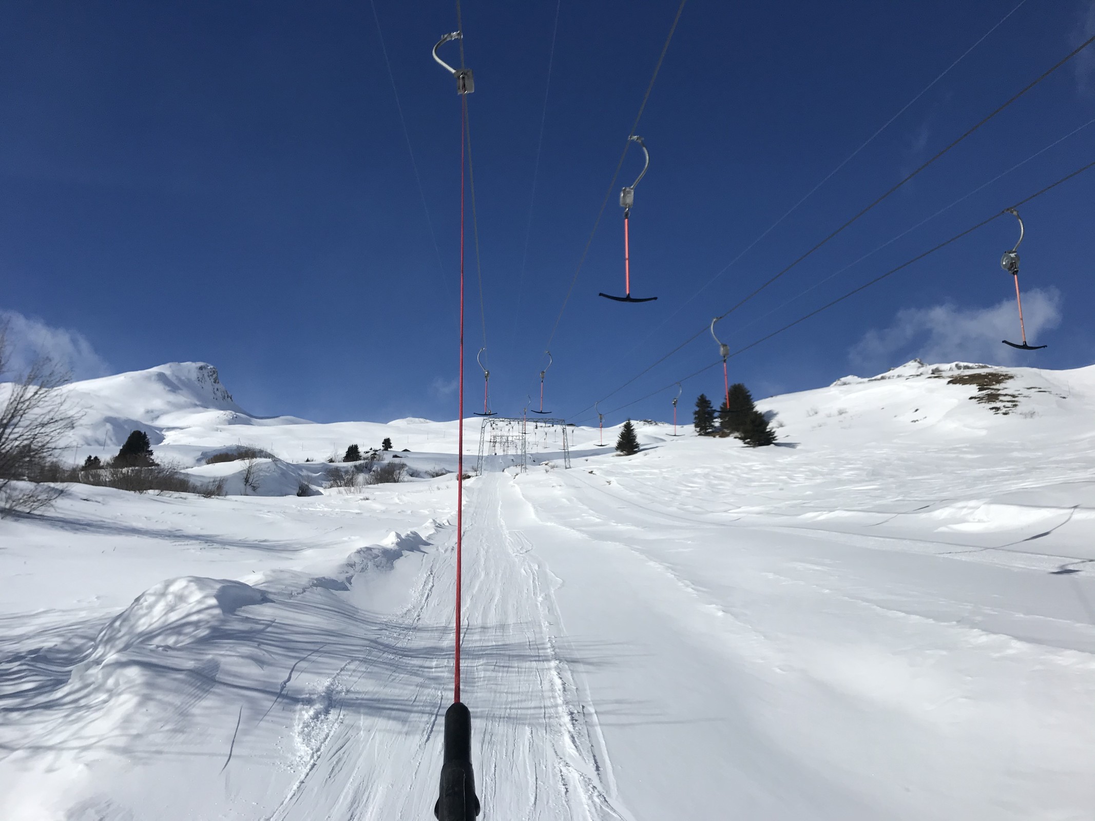 BE5B0DEC-65FF-462E-8775-AD18EBC3985D.jpeg