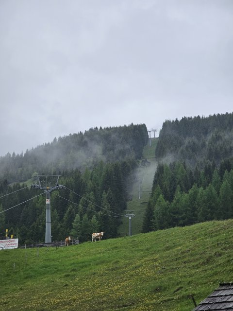 Bild 009.jpg