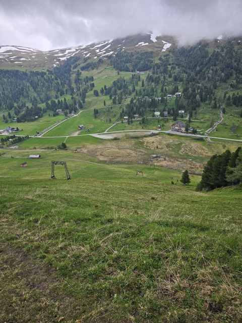 Bild 218.jpg
