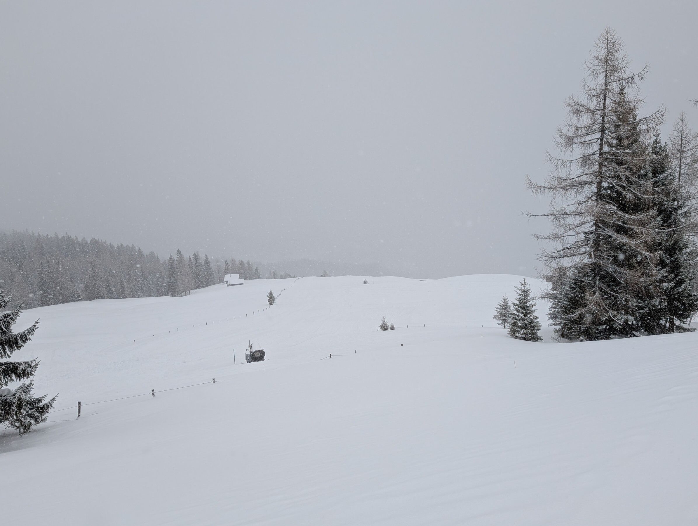 Bild12.jpg