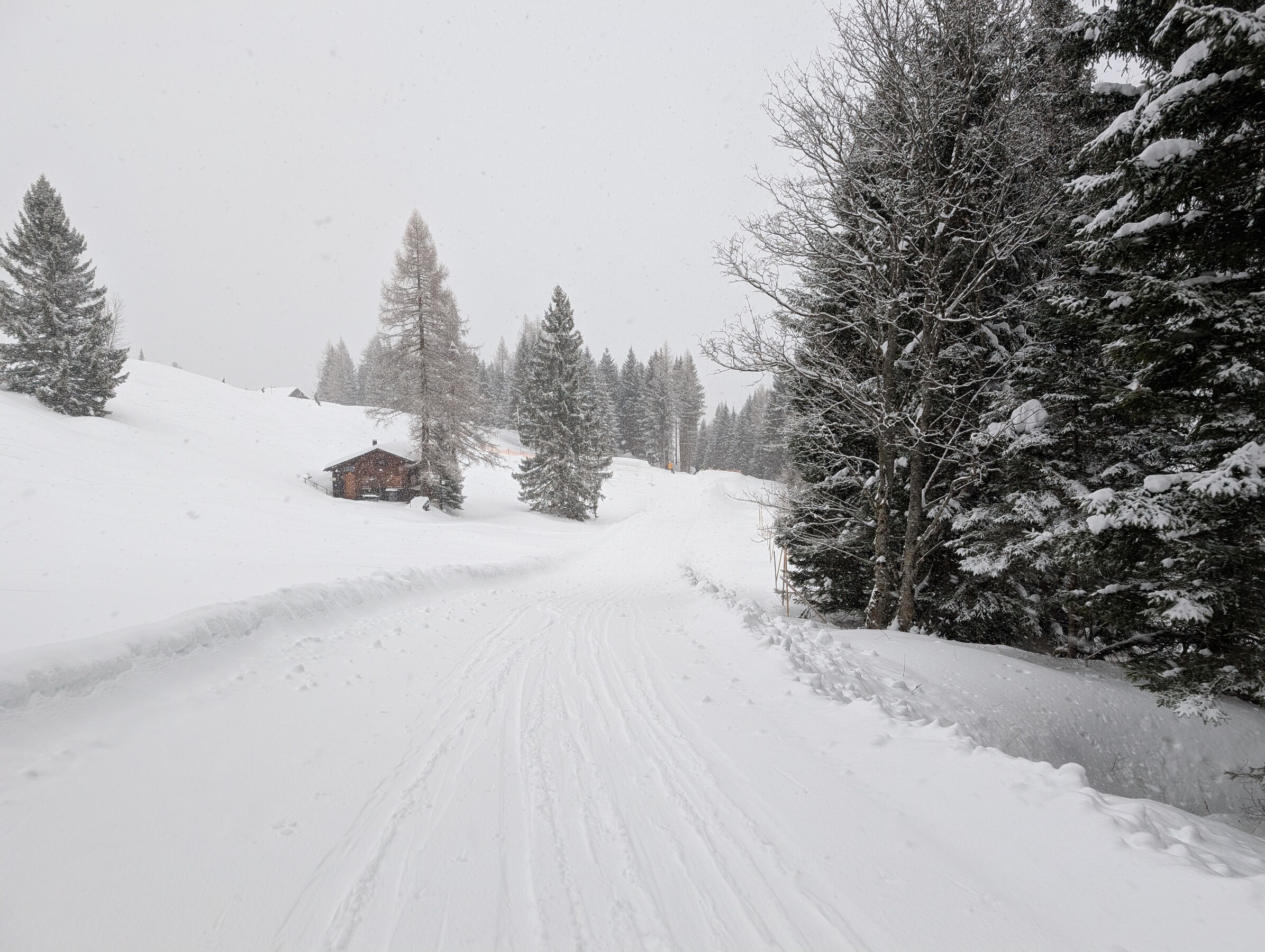 Bild15.jpg
