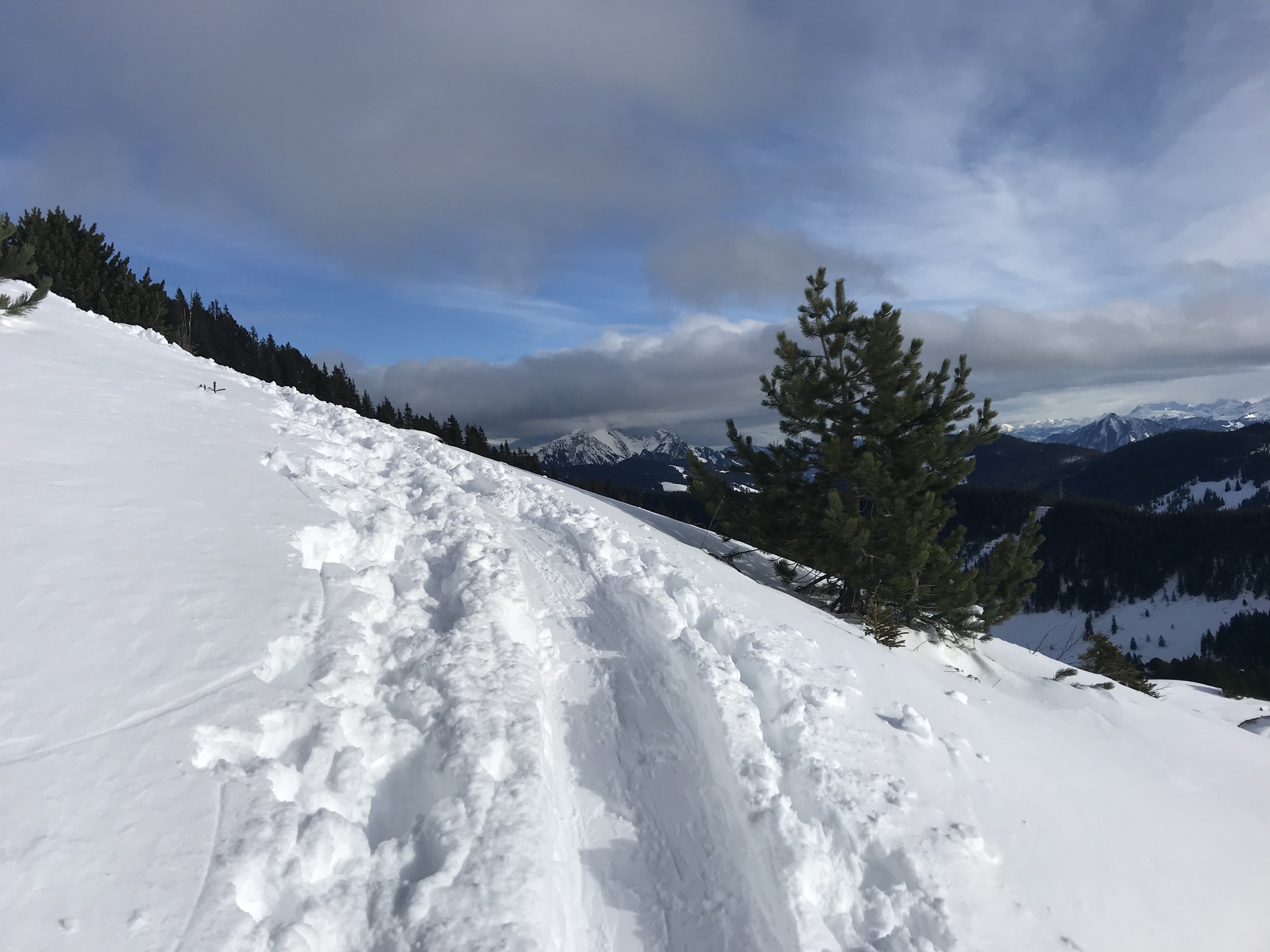 C5432B05-86DC-409D-8E20-4BD4C16D44C3.jpeg