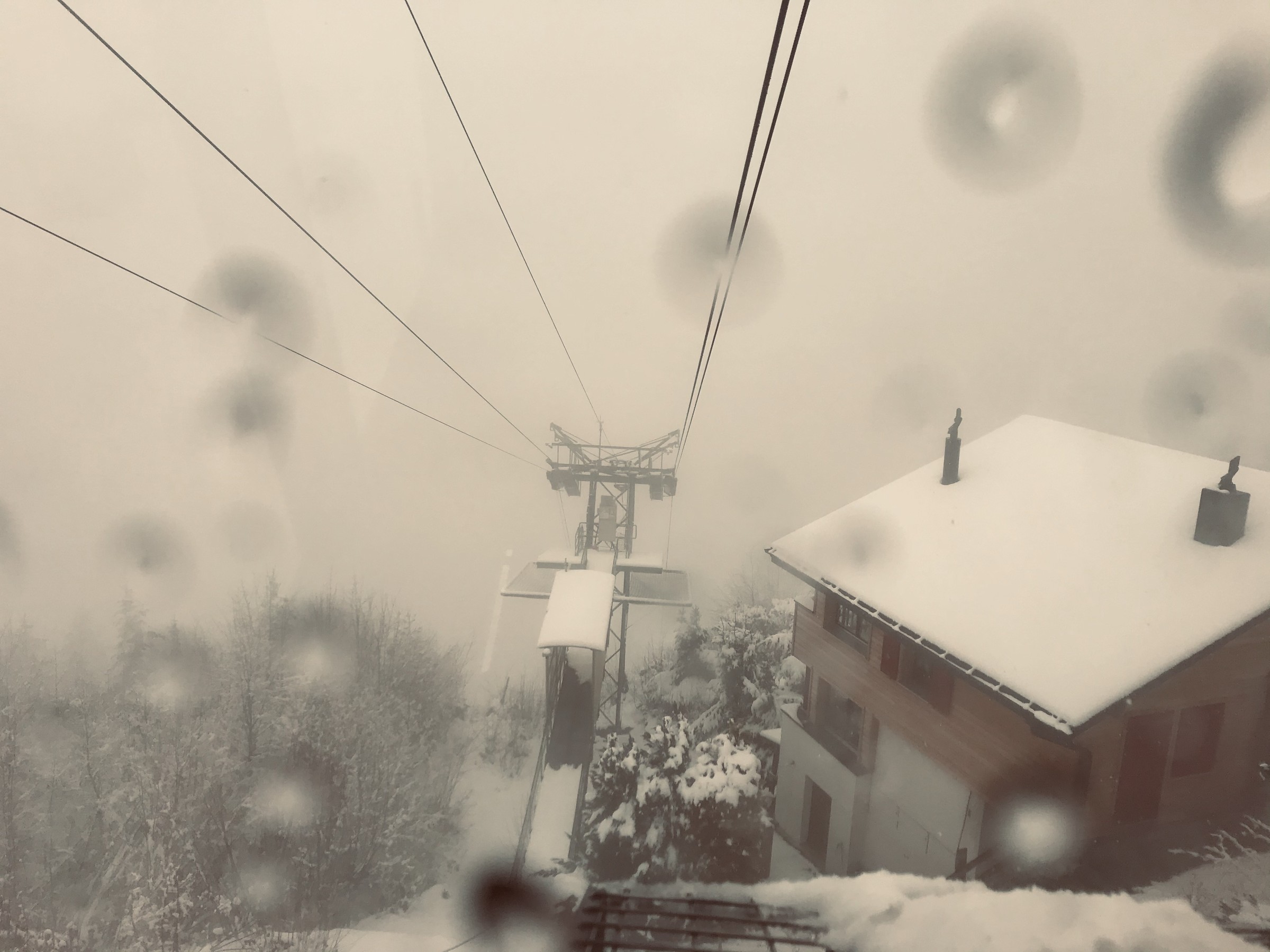 CA05A7B4-9358-48D9-9291-046FF5E5D3EF.jpeg