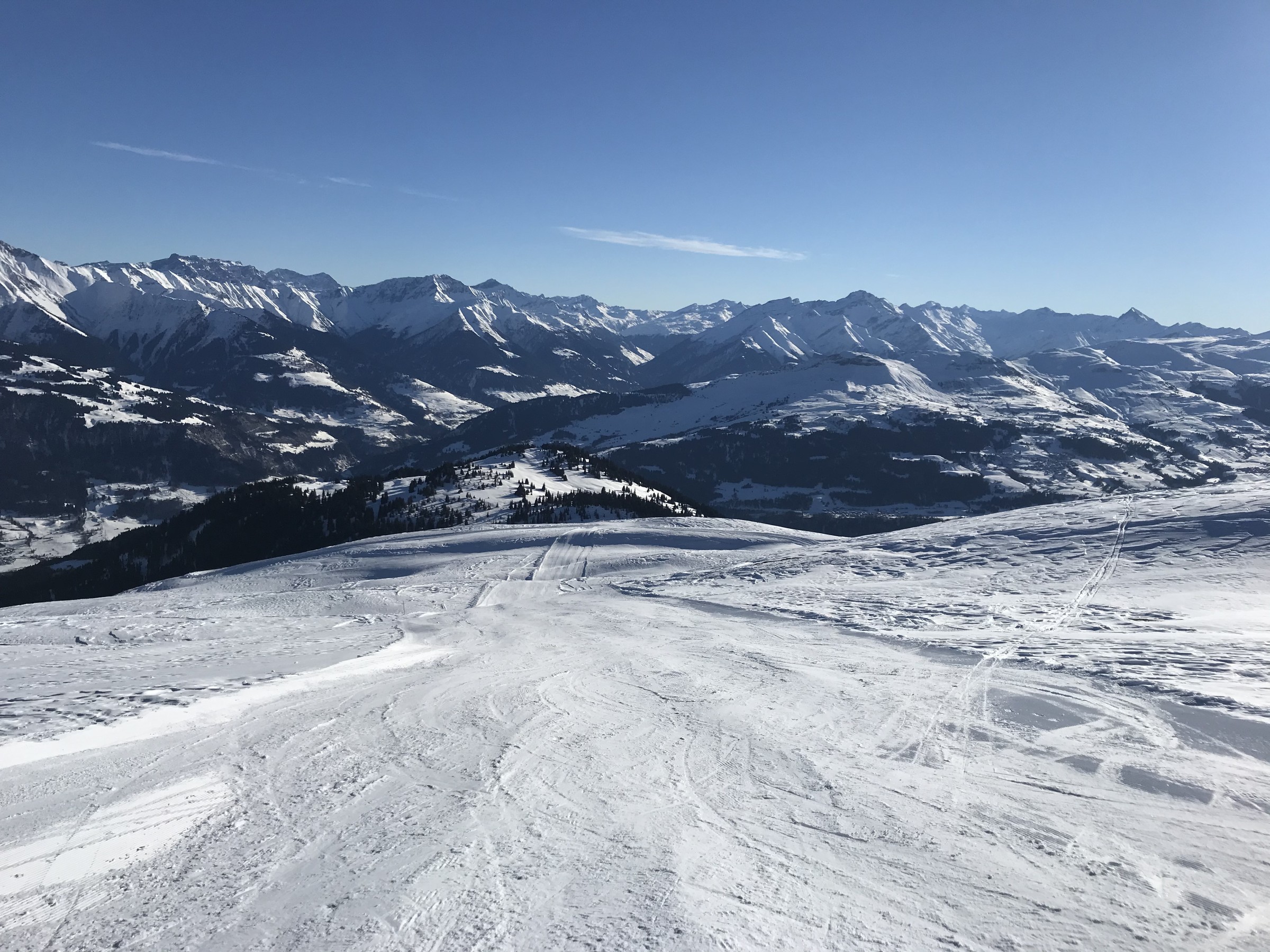 CDF7BDF6-29C5-4832-A1CA-F8BF8A824569.jpeg