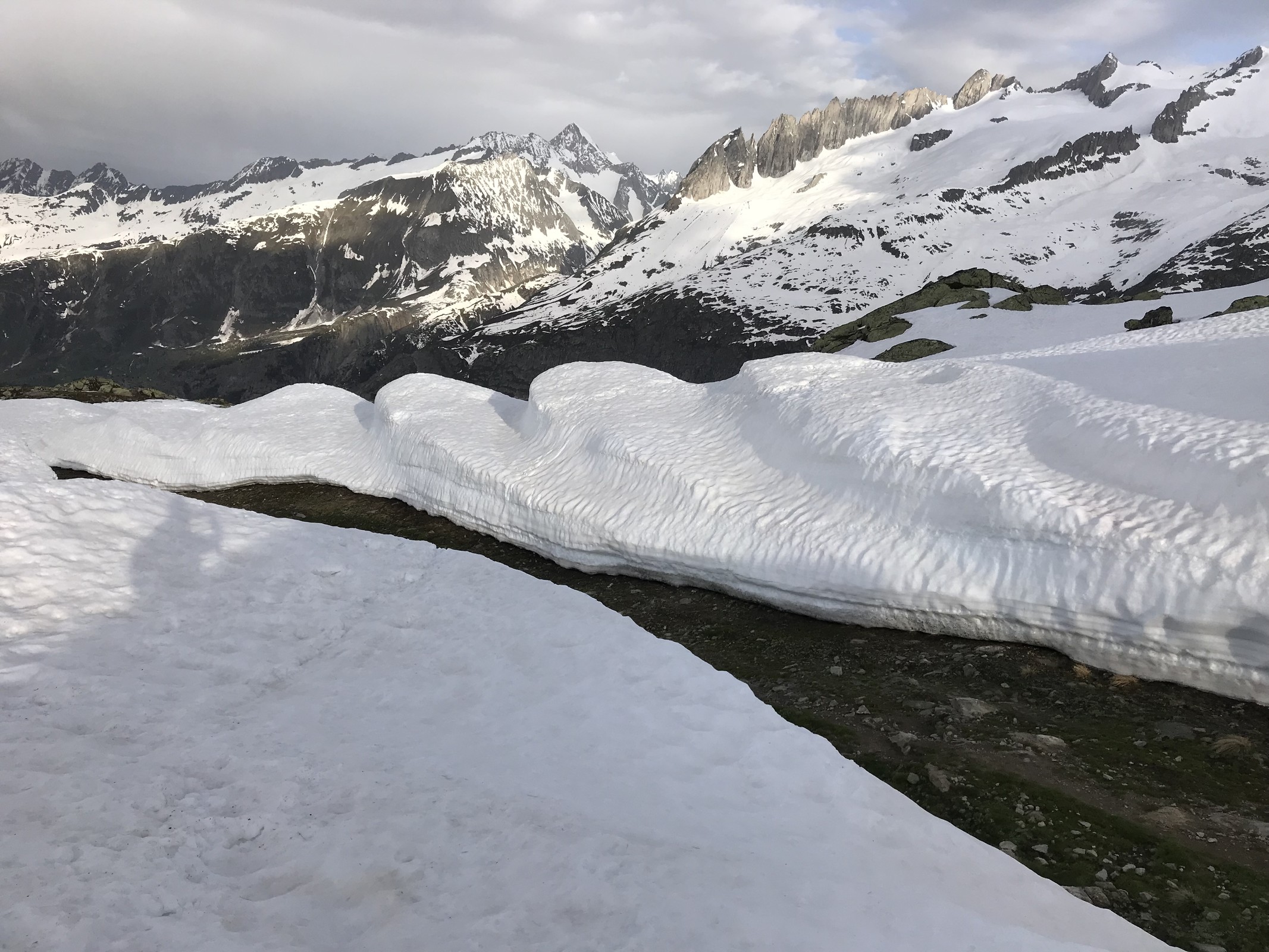 D1326356-58FF-4697-9F49-56BEB048EFFF.jpeg