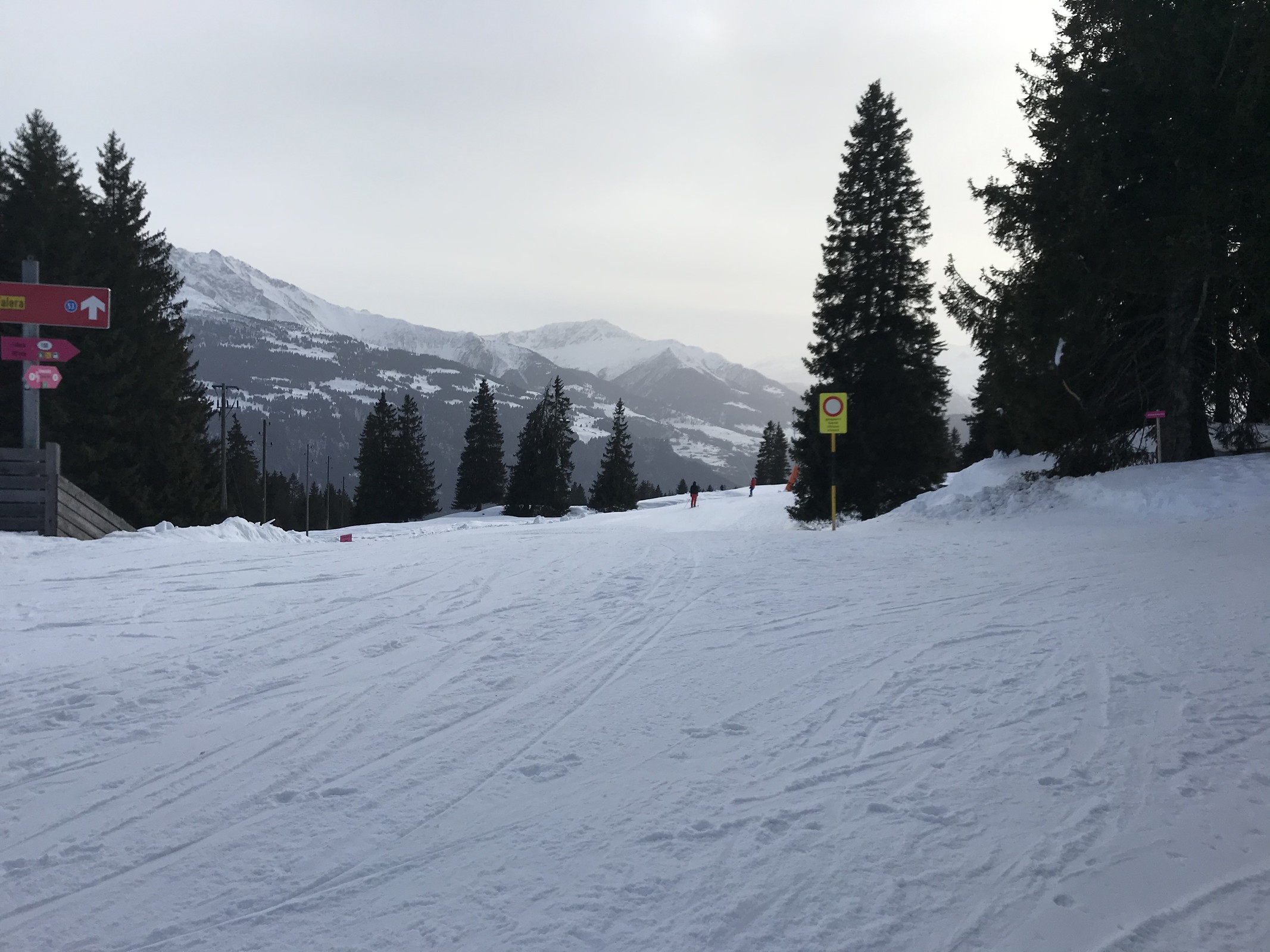 D1AF23E7-BC5D-4441-A58D-9018B0E3F666.jpeg