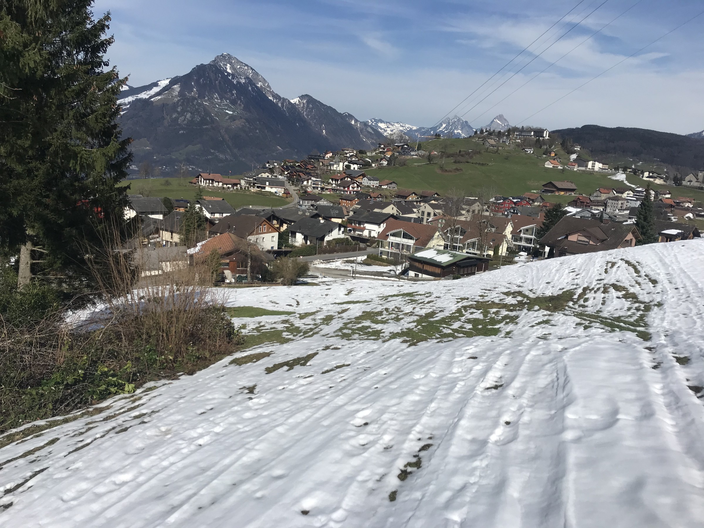 D1C60A15-B03C-4C13-A837-49C18EB83CA4.jpeg