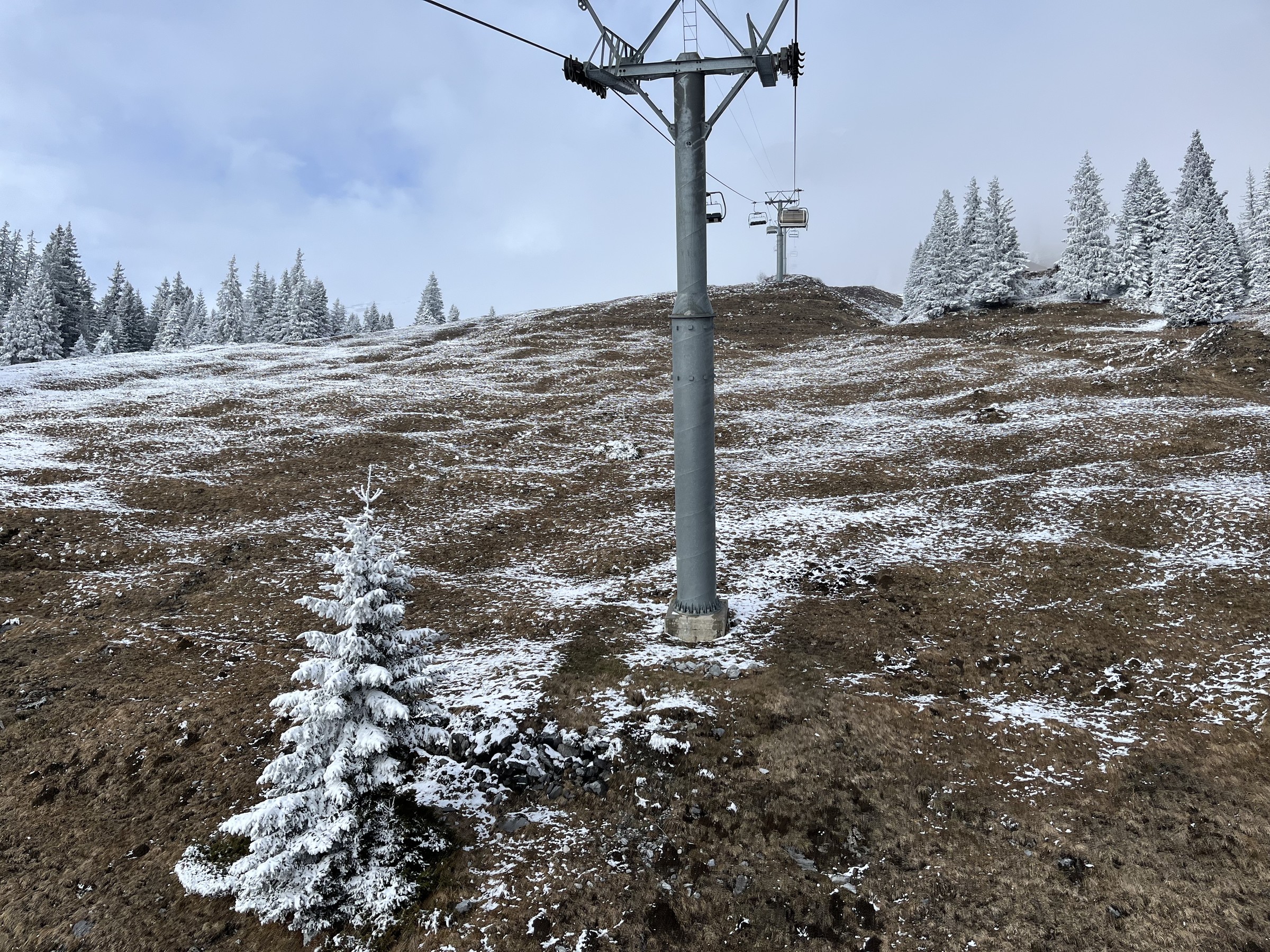 D25B8C28-478E-4643-8382-2D06285BC975.jpeg