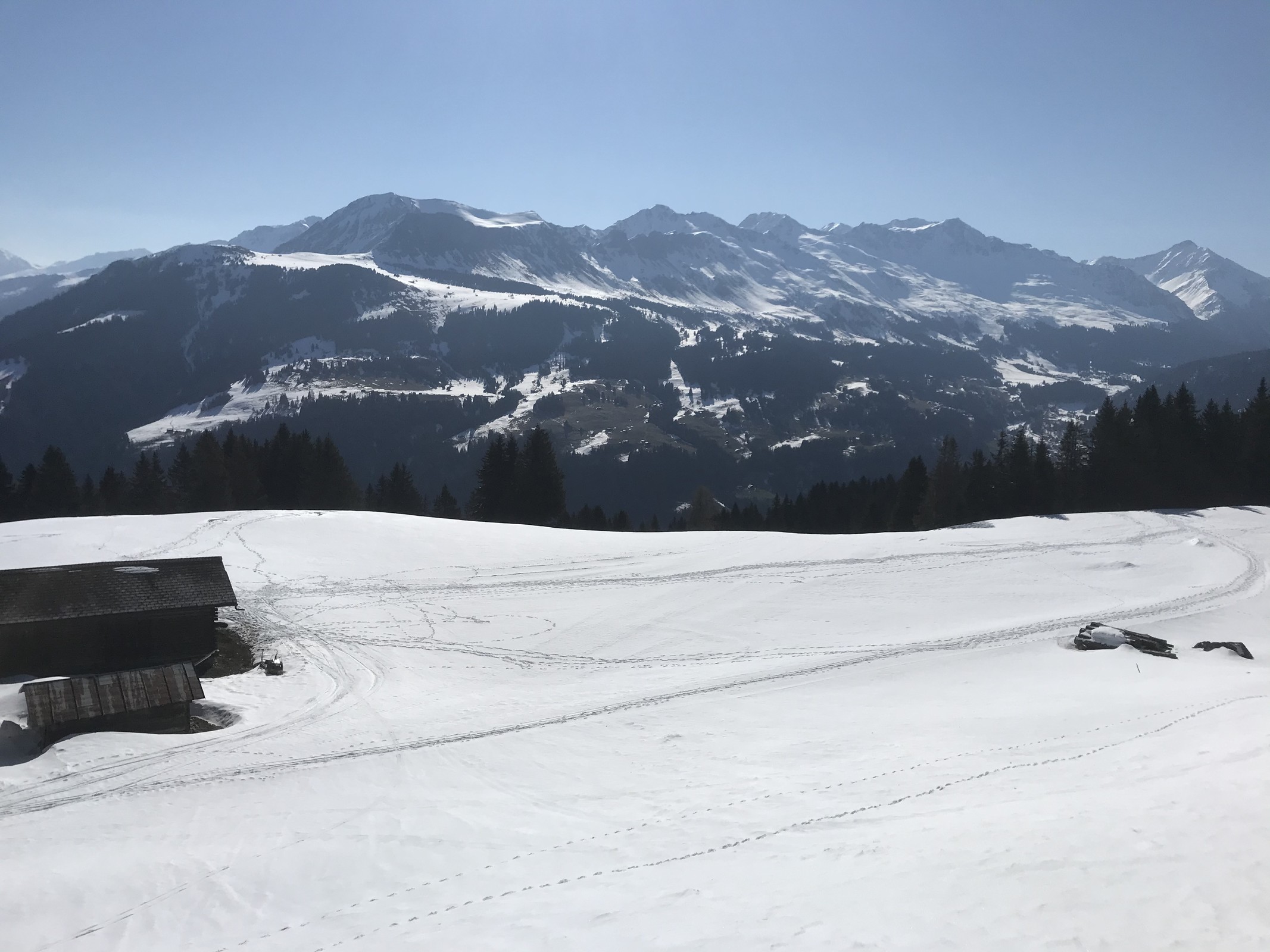 D347C338-7786-4C3B-A06B-65EACF69B491.jpeg
