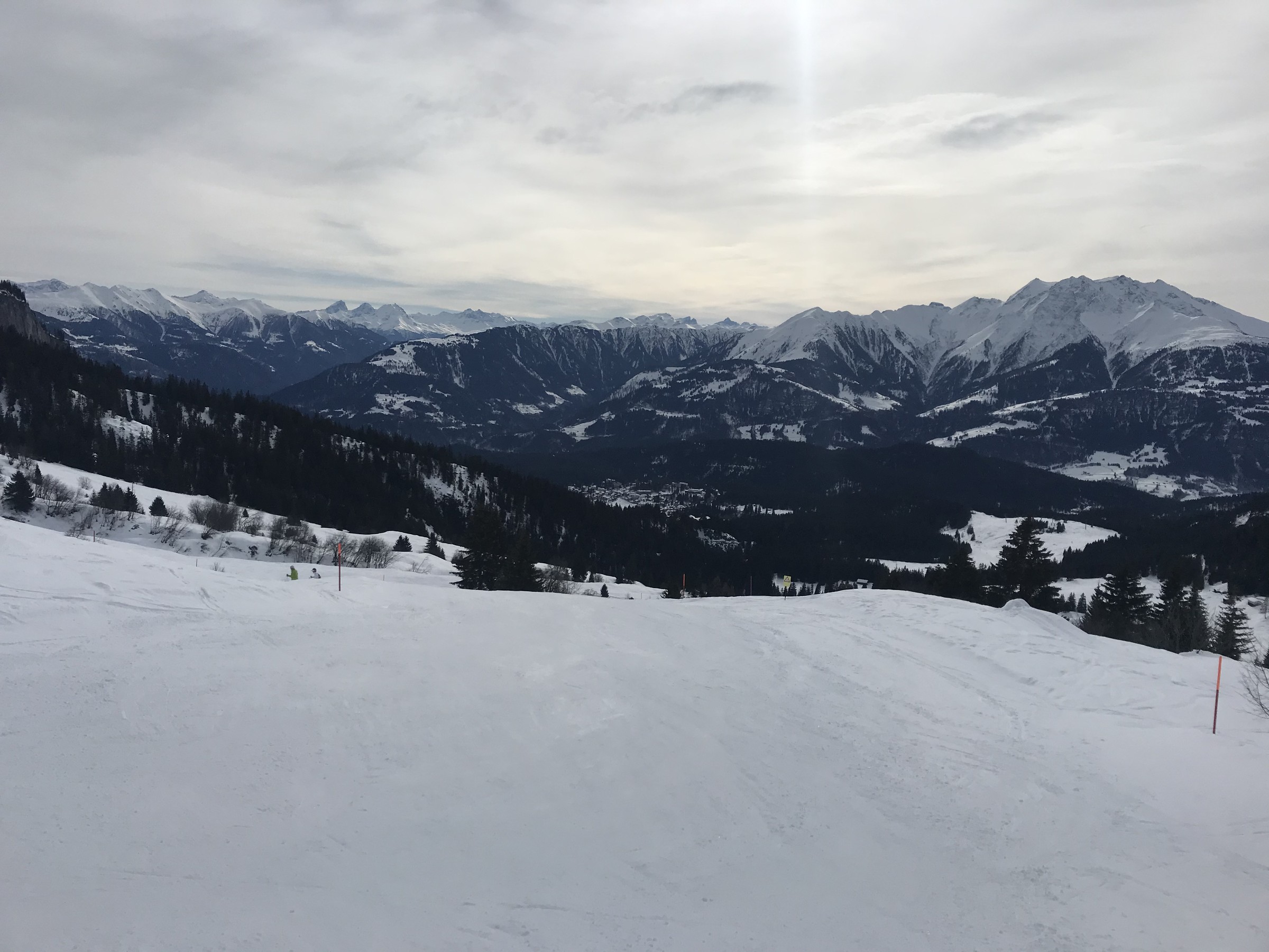 D384F652-B797-425A-9D9D-41262D37E45D.jpeg