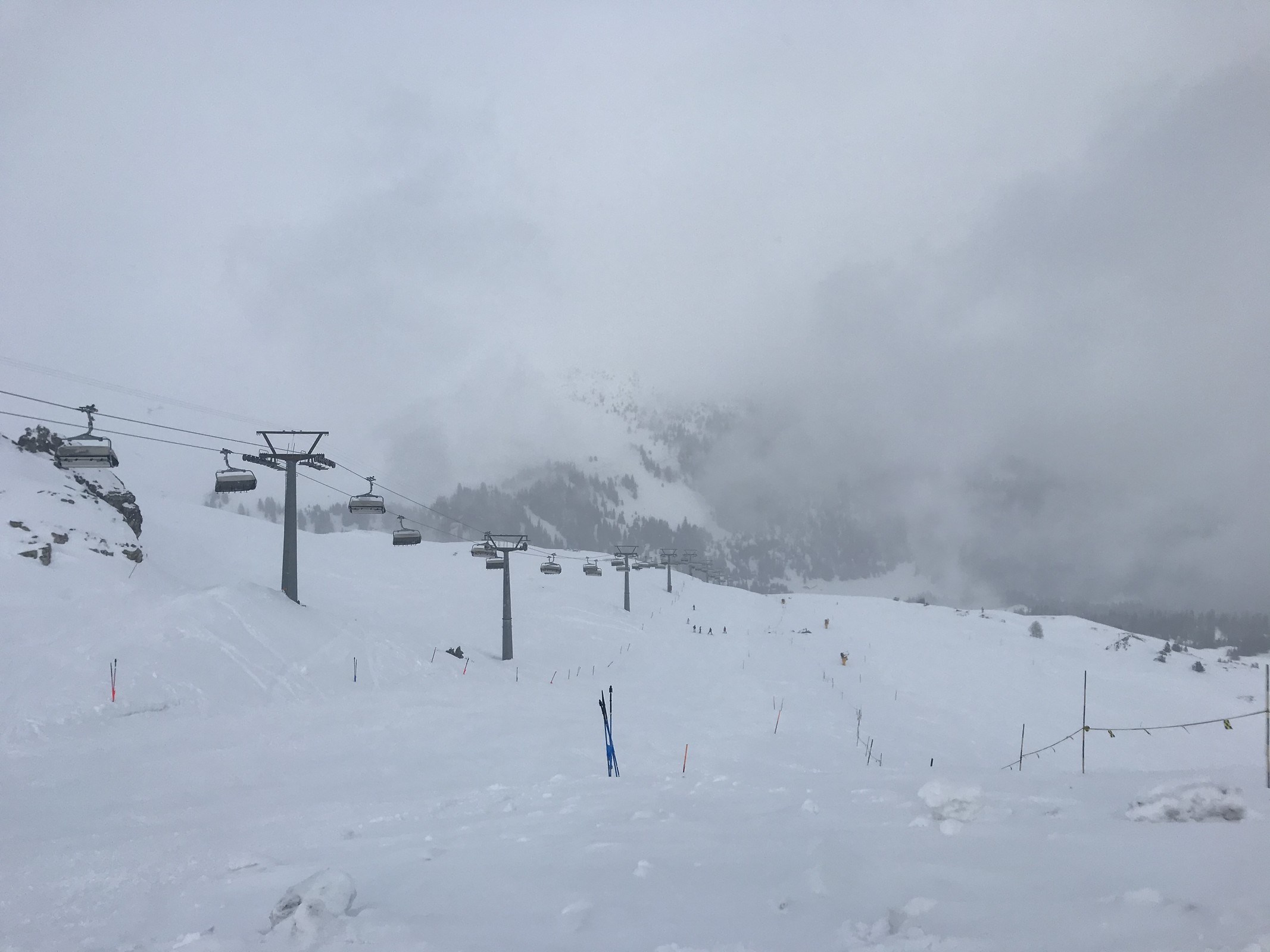 D3F465D2-94E7-44DF-9D1A-9976A146E76E.jpeg