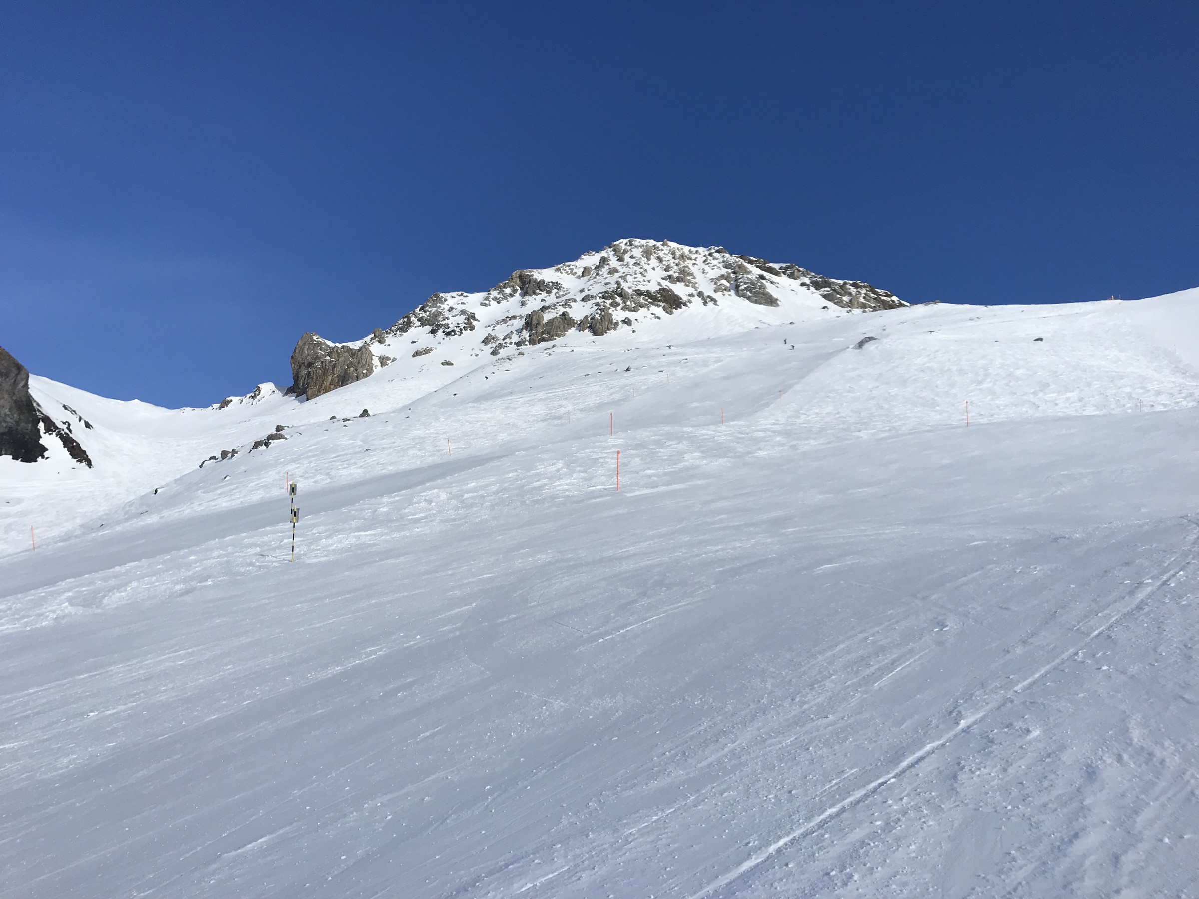 D655AD1D-88F1-4CF7-8E5B-C9631657BDBF.jpeg