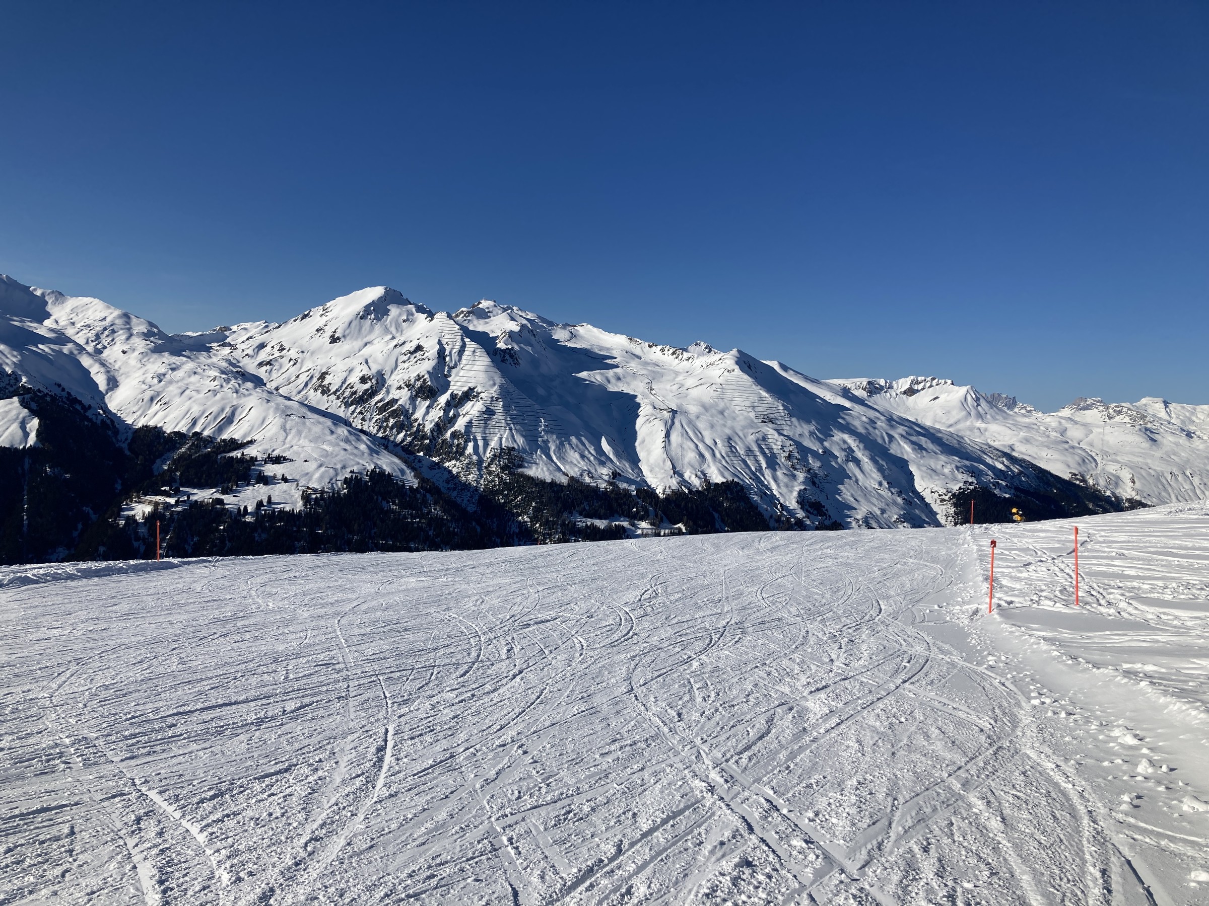 D87230F5-3041-4051-818F-BB1BC450E79E.jpeg