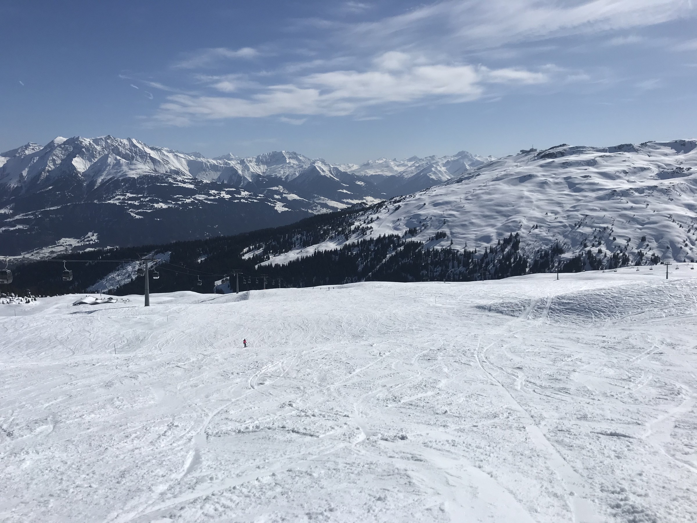 D9E24B95-0458-4F24-9210-8A5AB8B2B1BC.jpeg