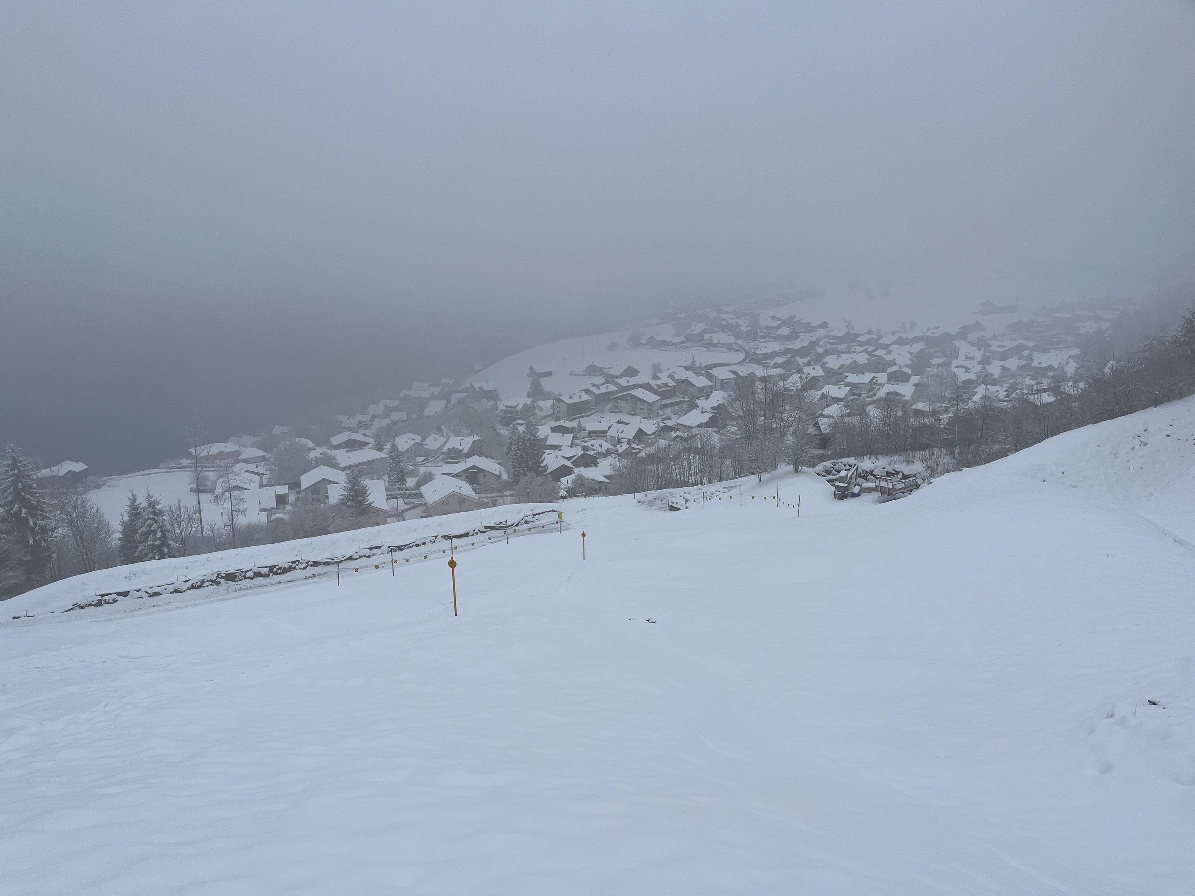 D9F94587-9743-4C95-8E1C-BDEC75467068.jpeg