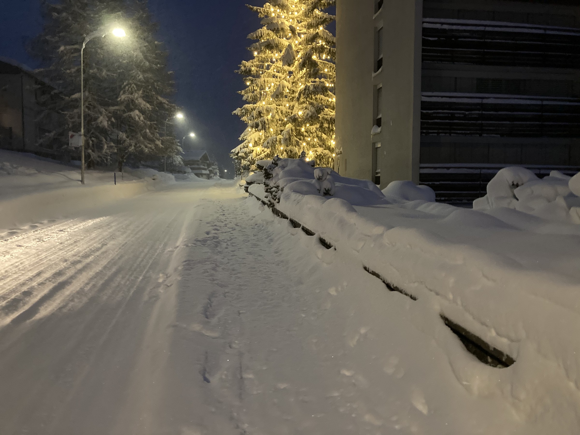 DB10C46E-D37C-4B68-9D63-43895FE6FB96.jpeg