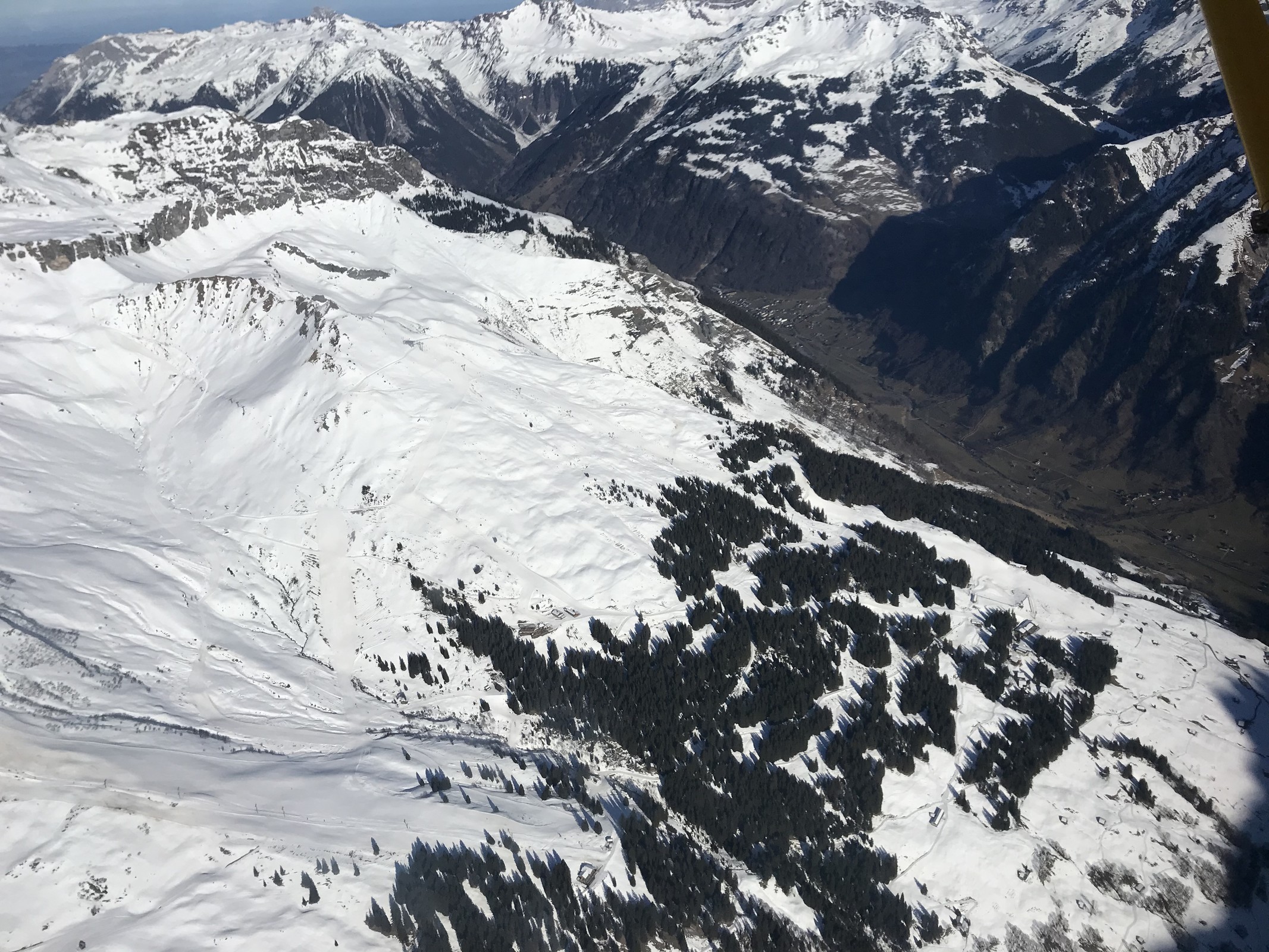 DBC19489-0AD1-4512-AB6E-55E75F30E390.jpeg
