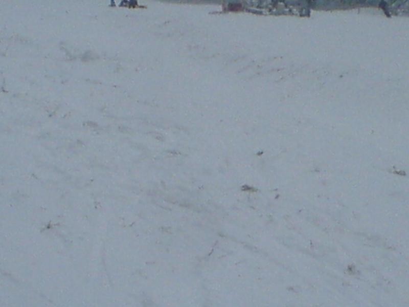DSC00340.JPG