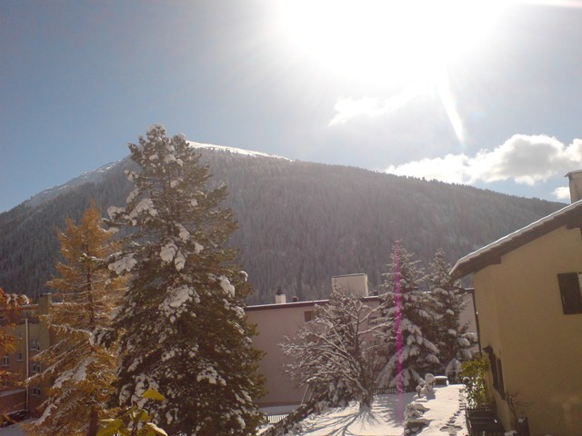 DSC00486.JPG