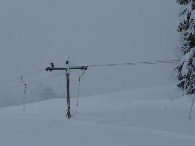 DSC00717.JPG