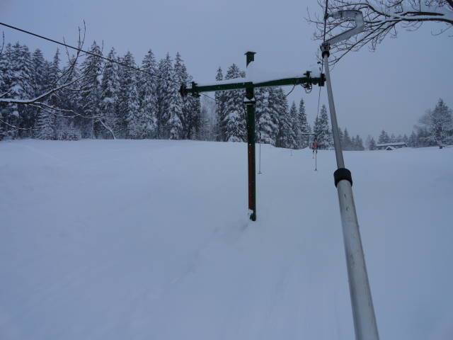 DSC00720.JPG