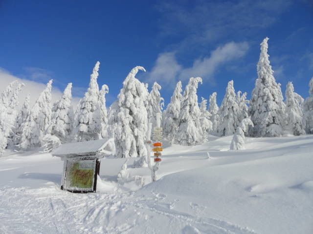 DSC00776.JPG