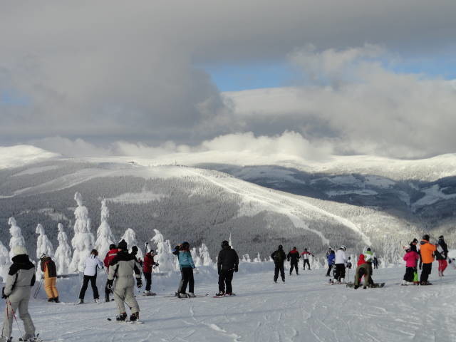 DSC00780.JPG