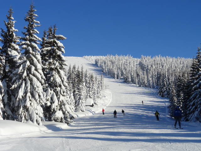 DSC00874.JPG