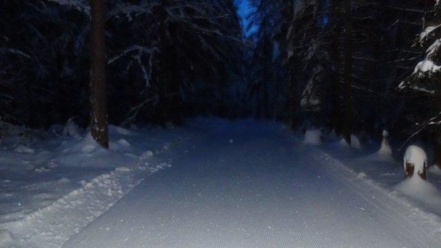 DSC00954.jpg