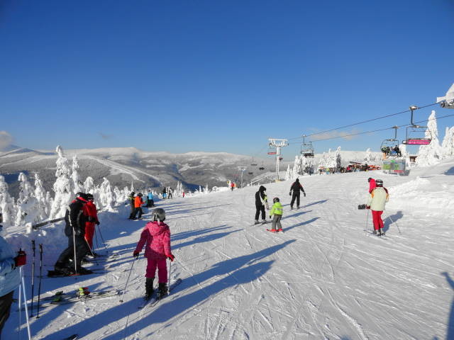 DSC01013.JPG