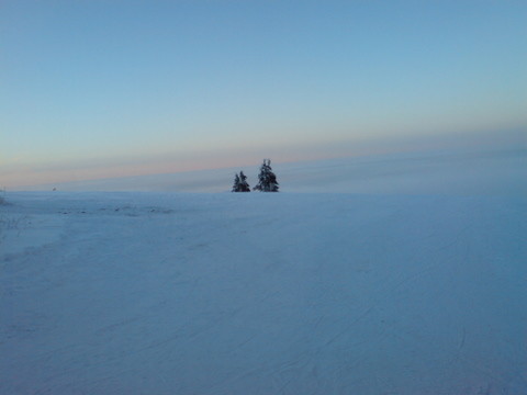 DSC01280.JPG