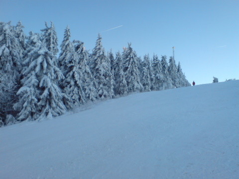DSC01291.JPG