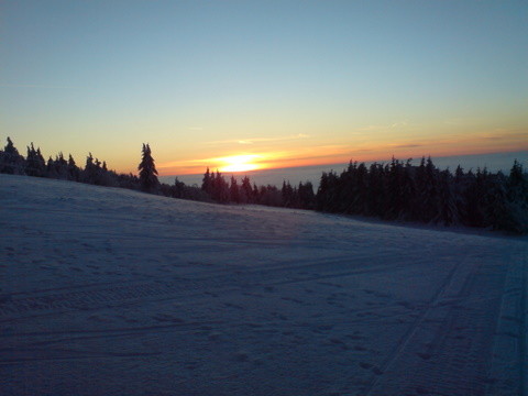 DSC01292.JPG