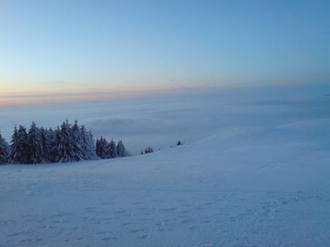 DSC01294.JPG