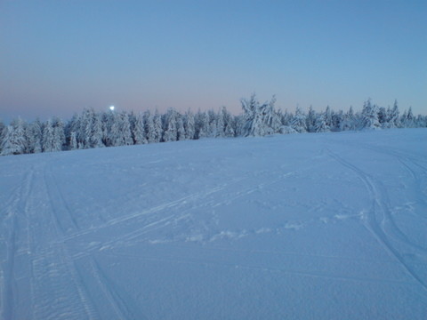 DSC01297.JPG
