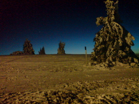 DSC01316.JPG
