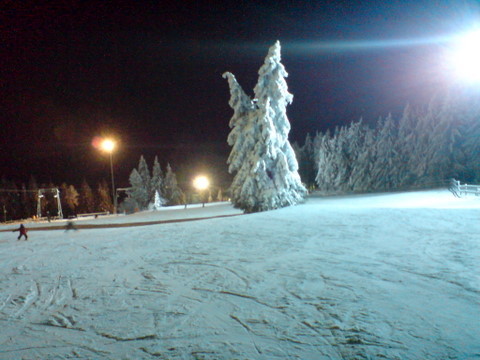 DSC01328.JPG