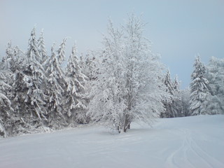 DSC01342.JPG