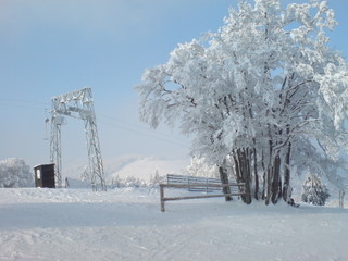 DSC01346.JPG