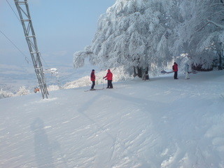 DSC01347.JPG