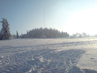 DSC01355.JPG