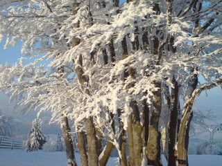 DSC01364.JPG