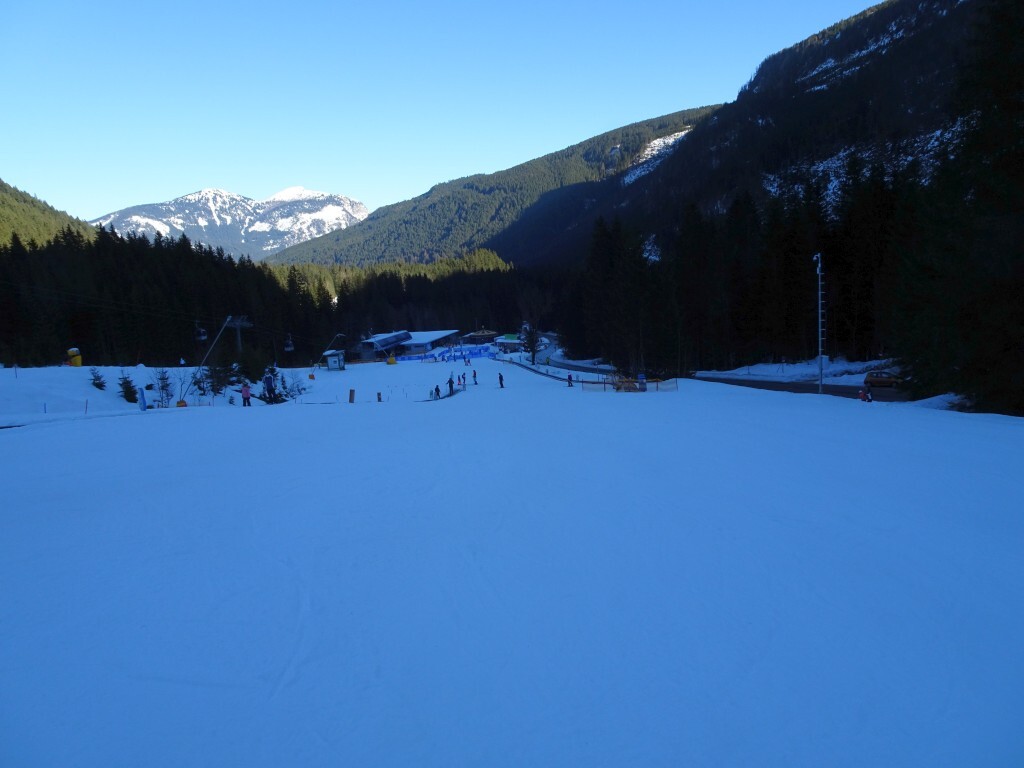 DSC01451.jpg