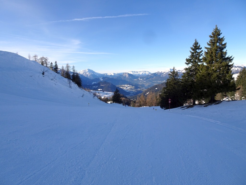 DSC01505.jpg