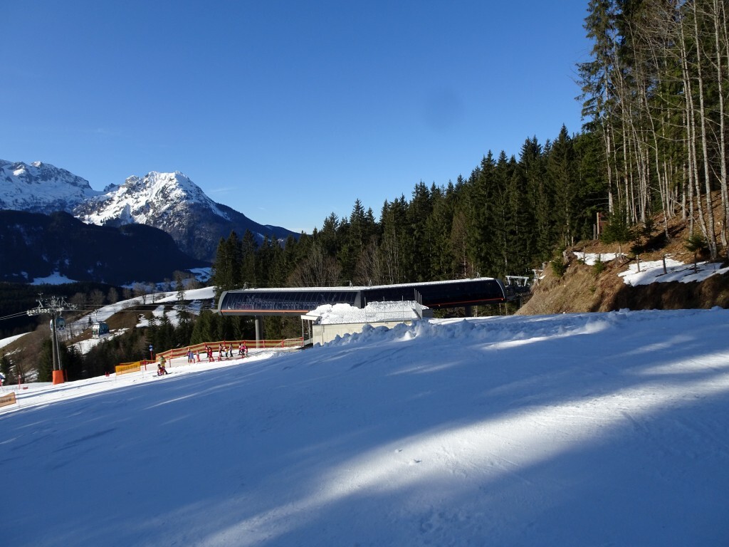 DSC01546.jpg
