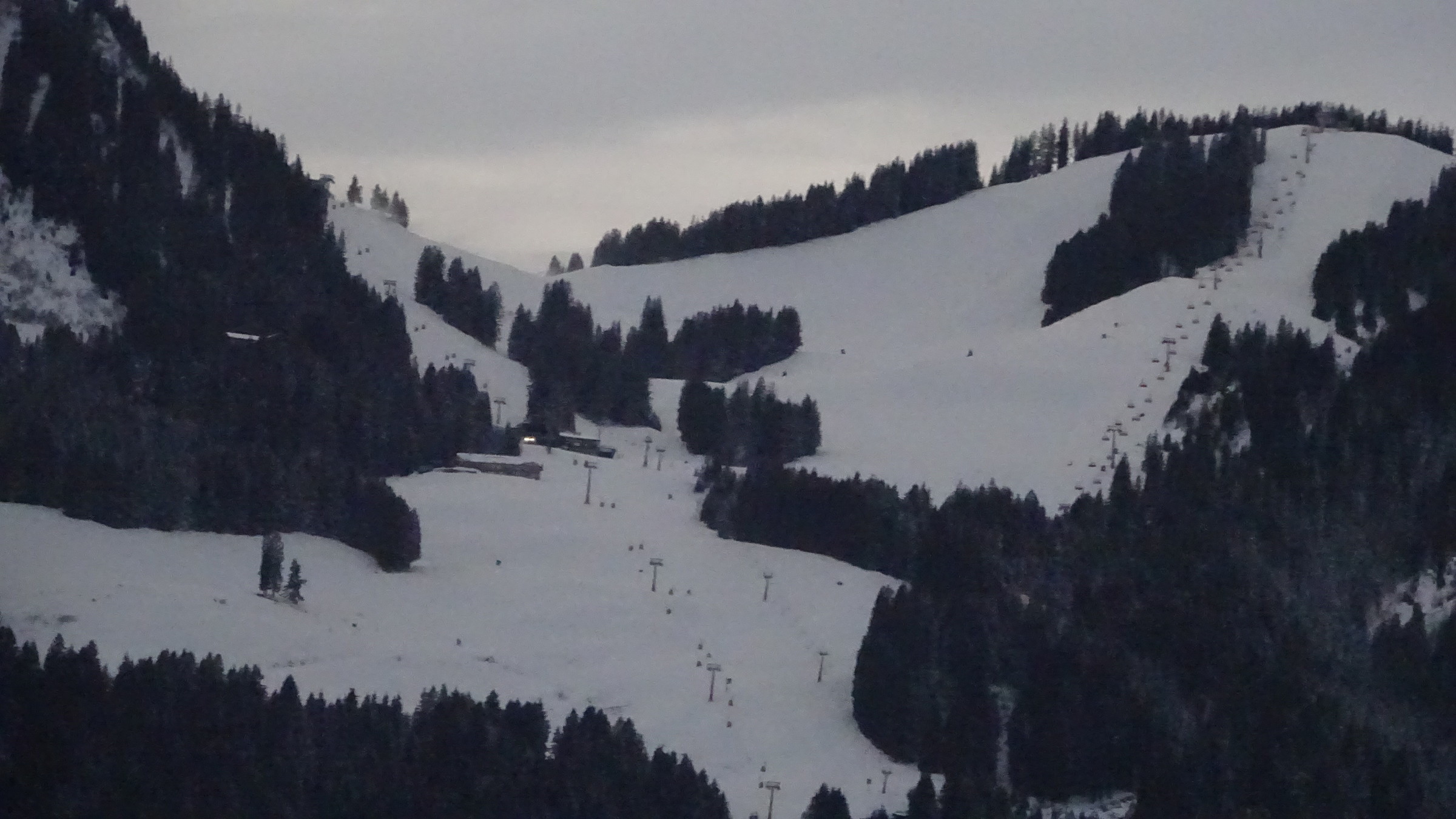 DSC01593.JPG