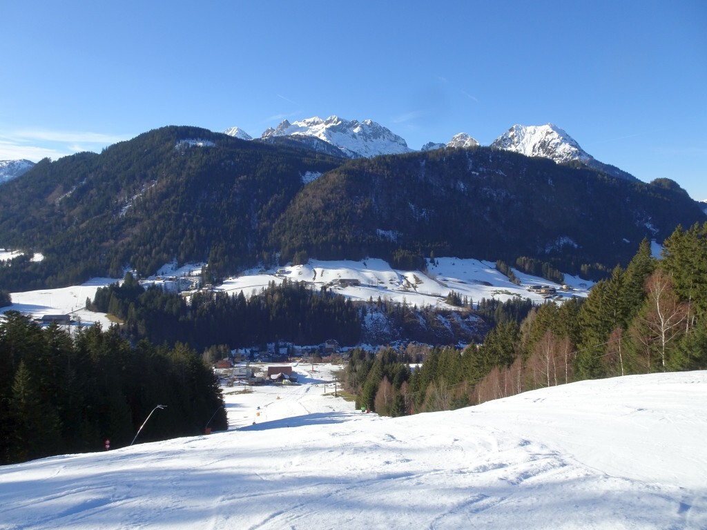 DSC01596.jpg