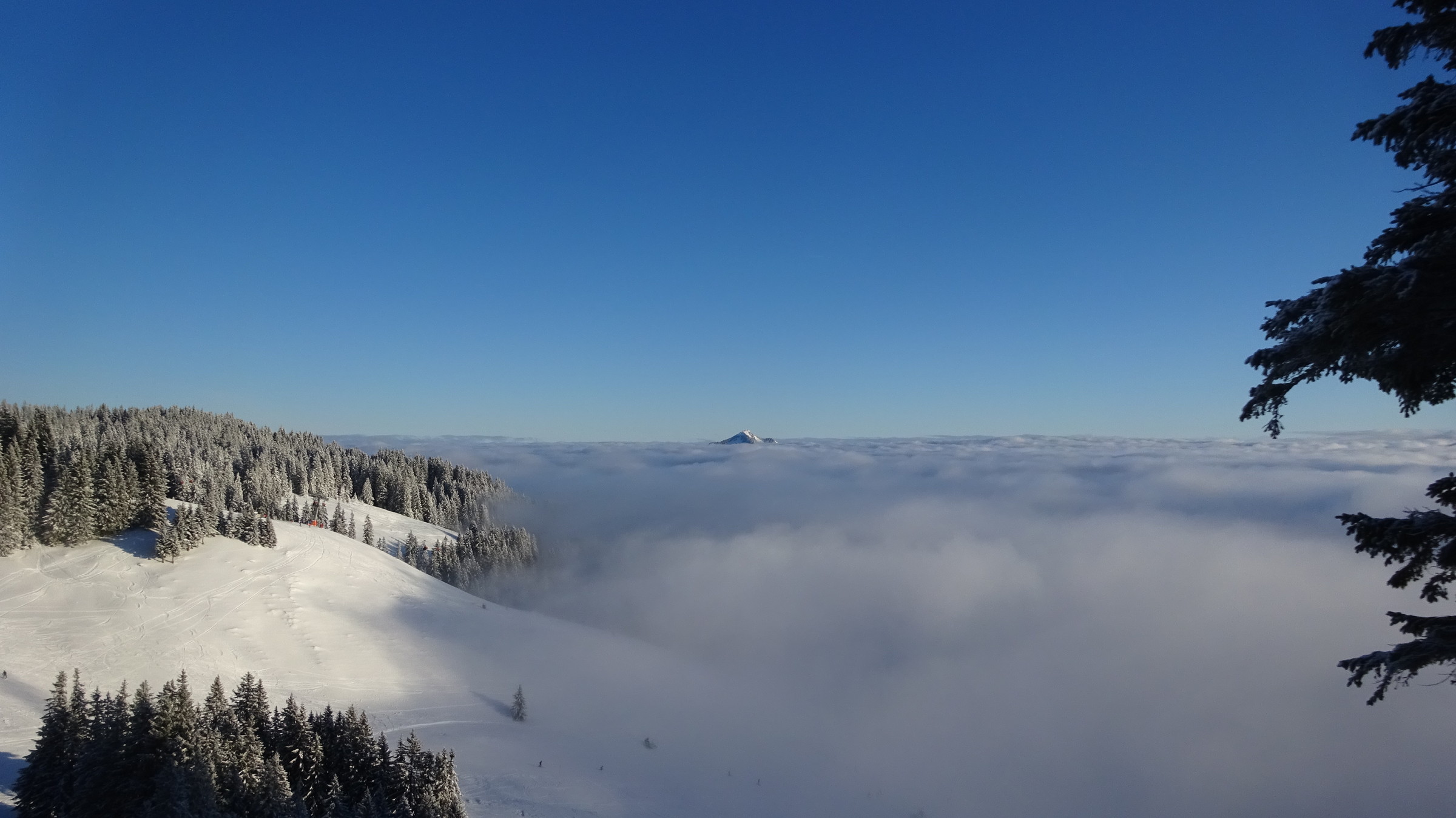 DSC01604.JPG