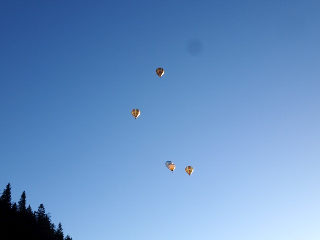 DSC01633.jpg