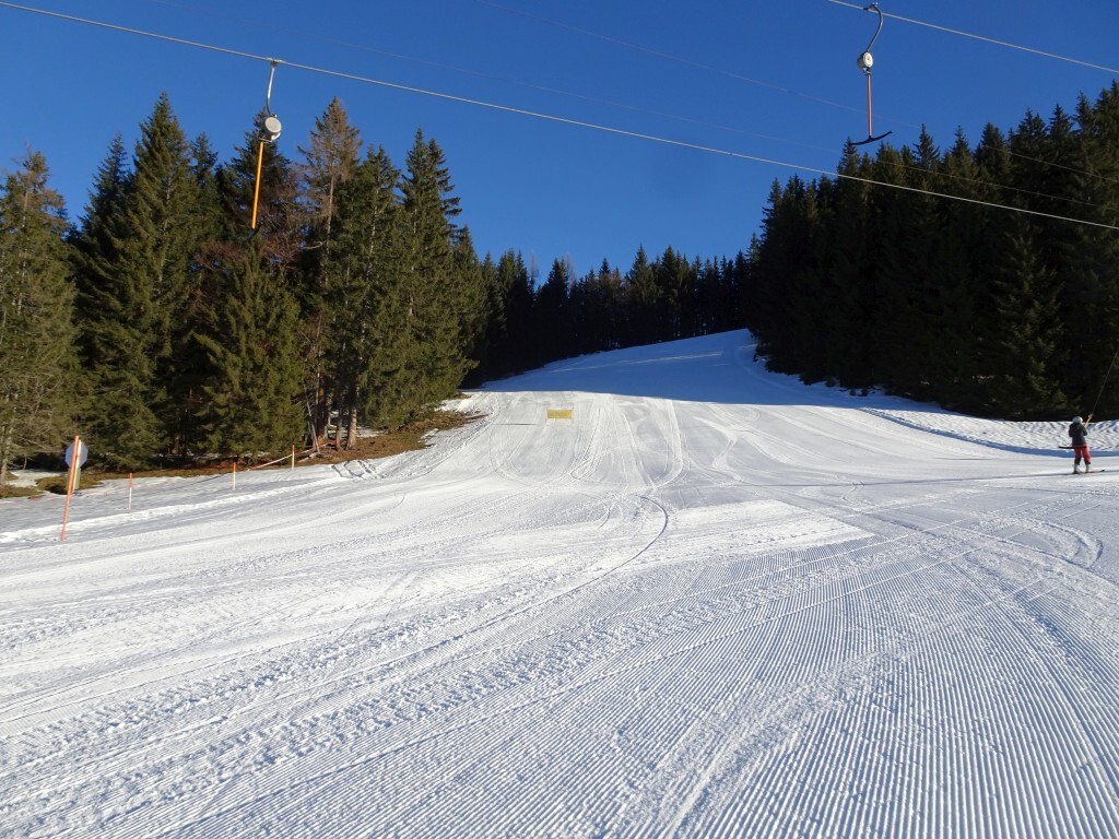 DSC01734.jpg